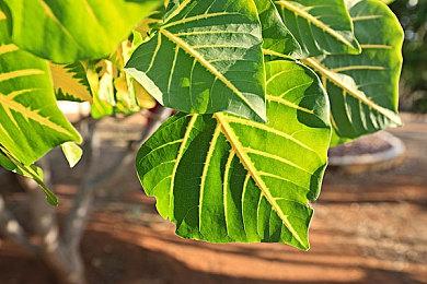 节奏FPS《重金属：地狱歌手》现已在Steam发售